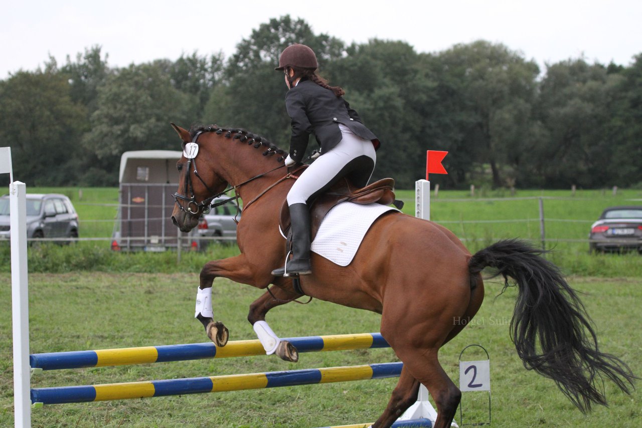Bild 1341 - WBO-Turnier am 18.9.11